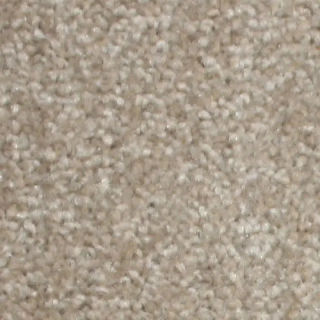 Fiesta numune 7