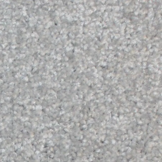 Fiesta numune 8